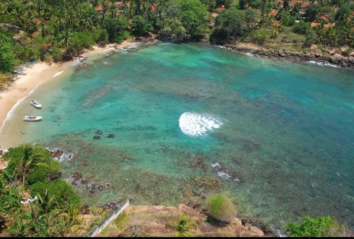 Séjour chez l'habitant Light House Matara
